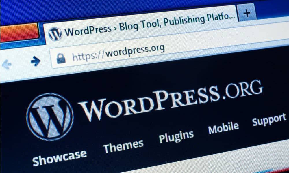 Why WordPress Websites